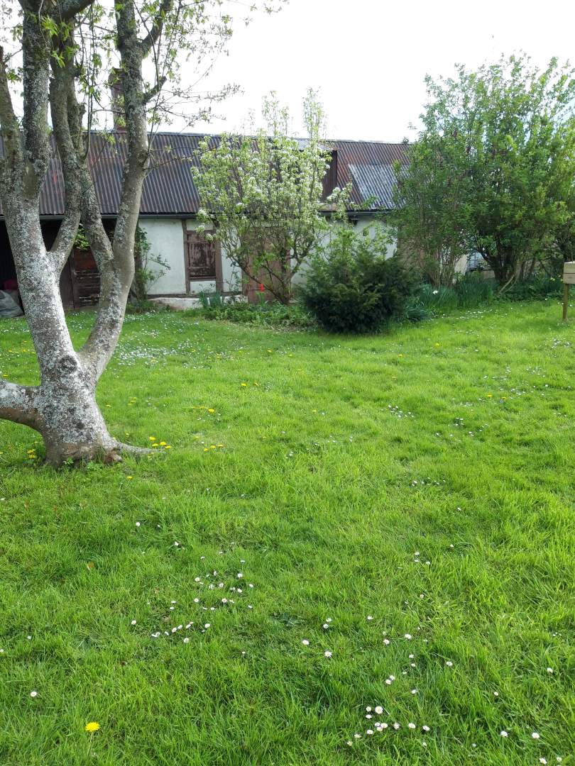 Maison individuelle - 4 pièces - 66 m²